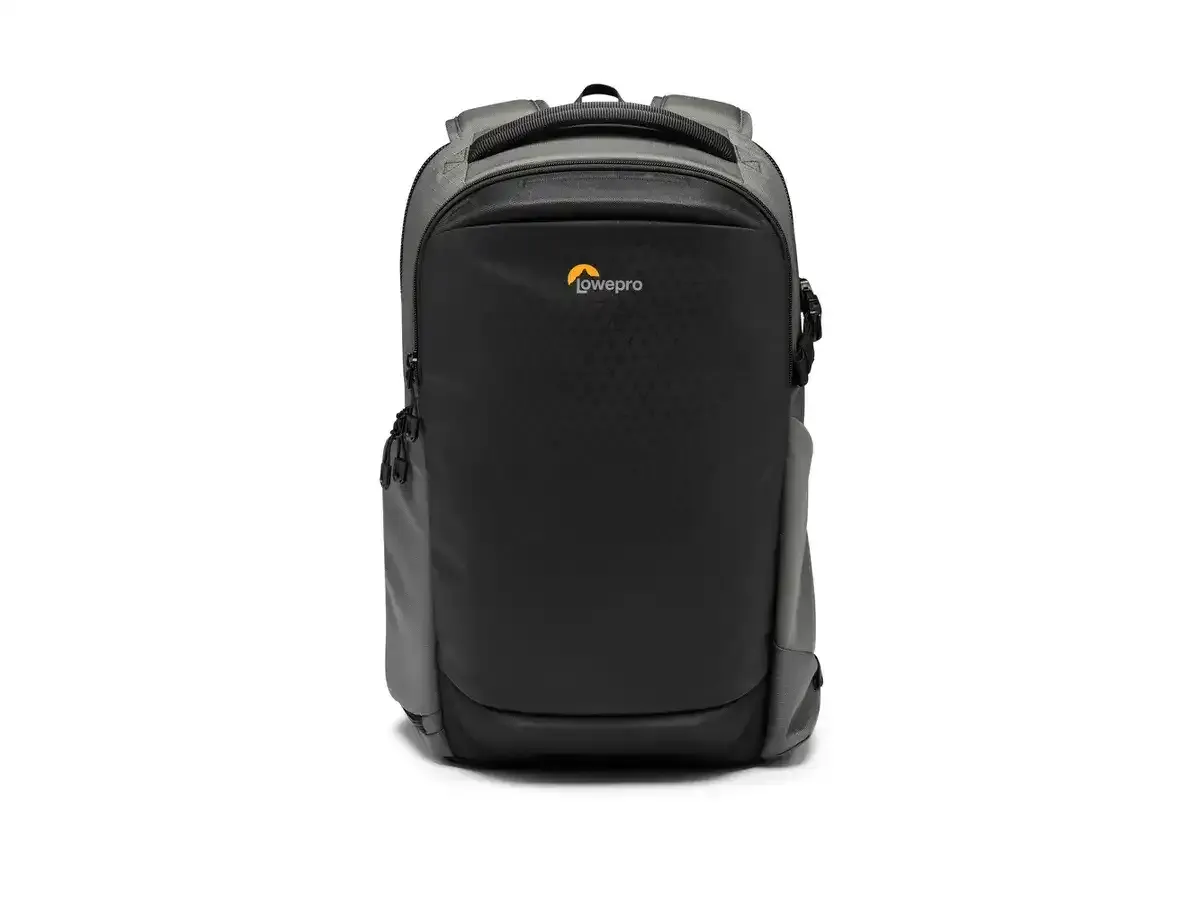 Lowepro Flipside BP 300 AW III (gris / noir)