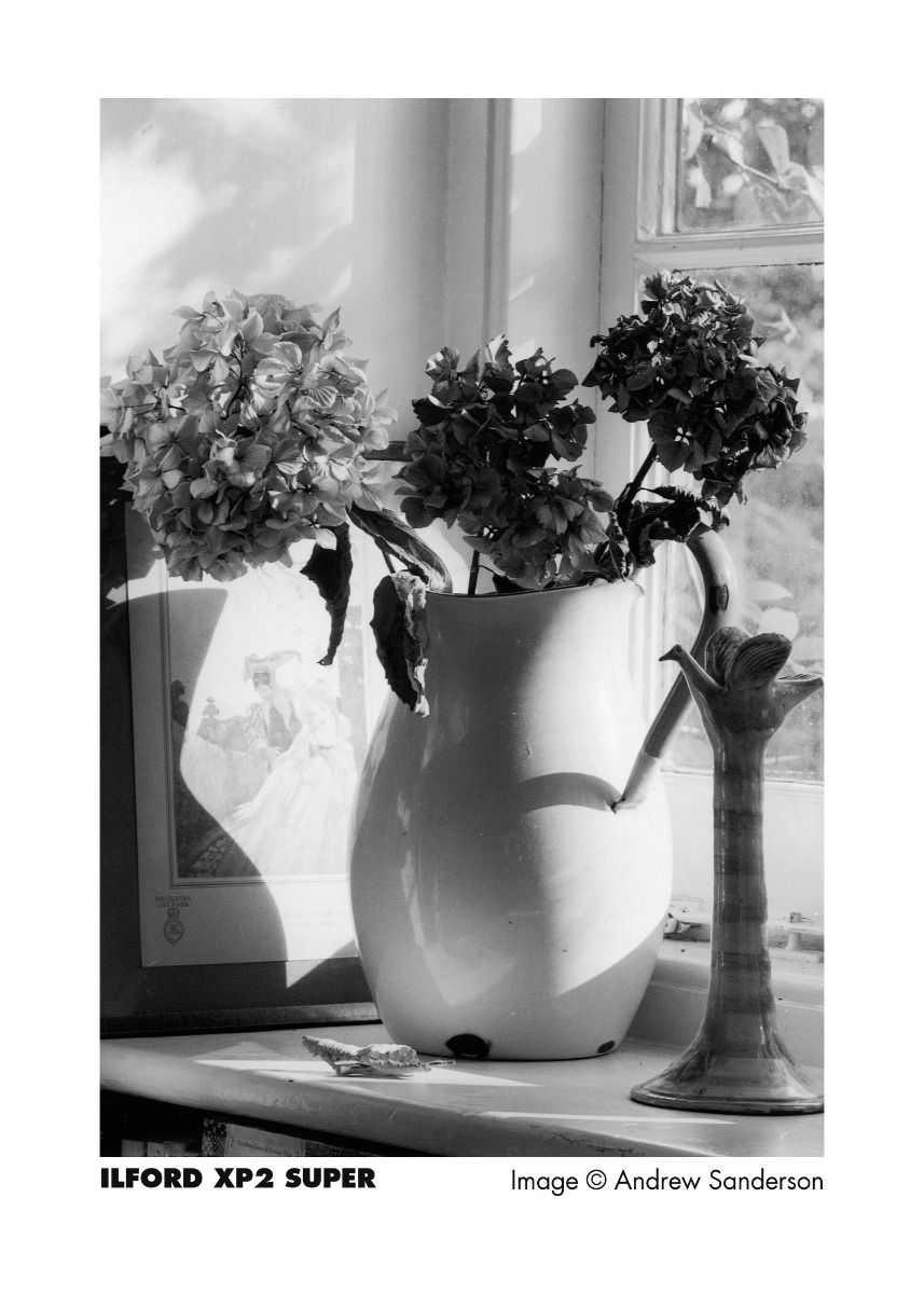 Ilford XP2 Super 400 135-24