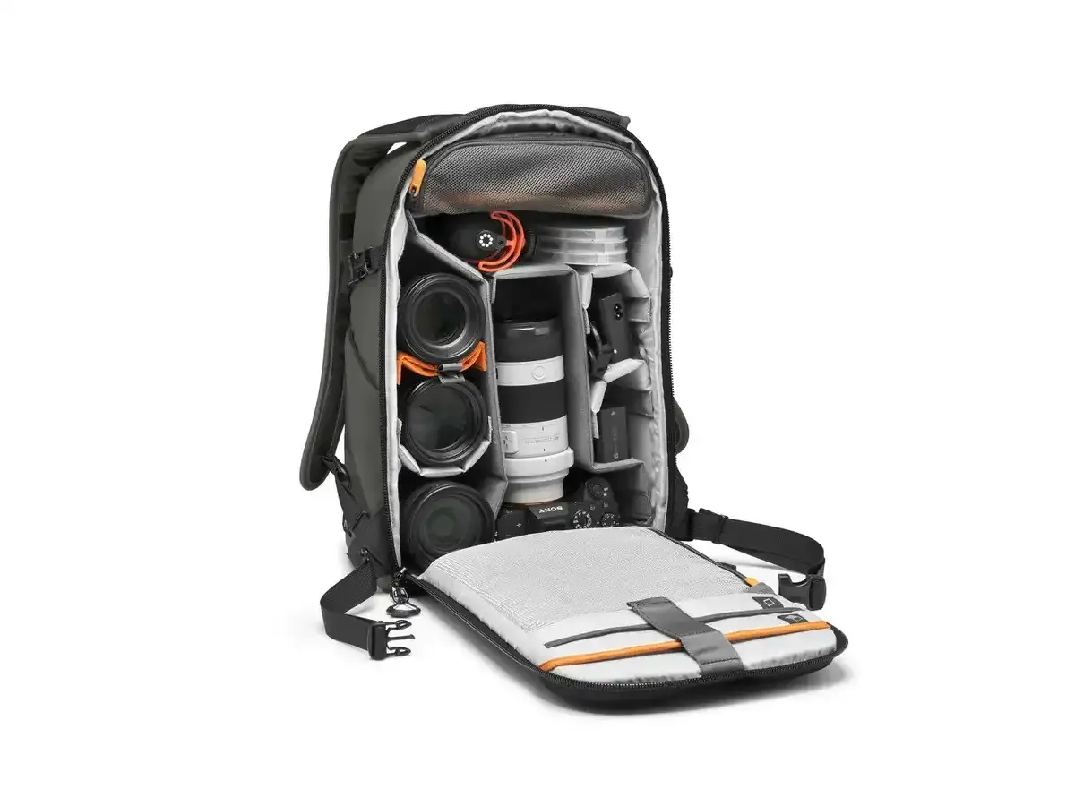 Lowepro Flipside BP 300 AW III (gris / noir)