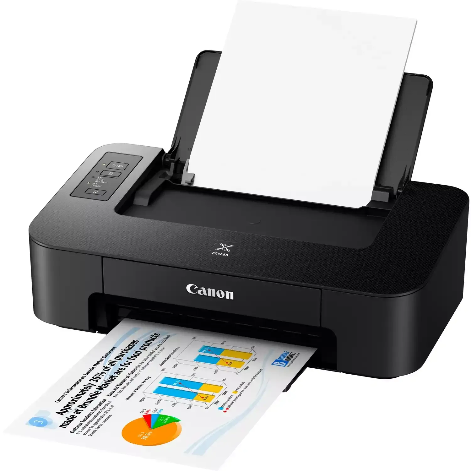 Imprimante Canon PIXMA TS205