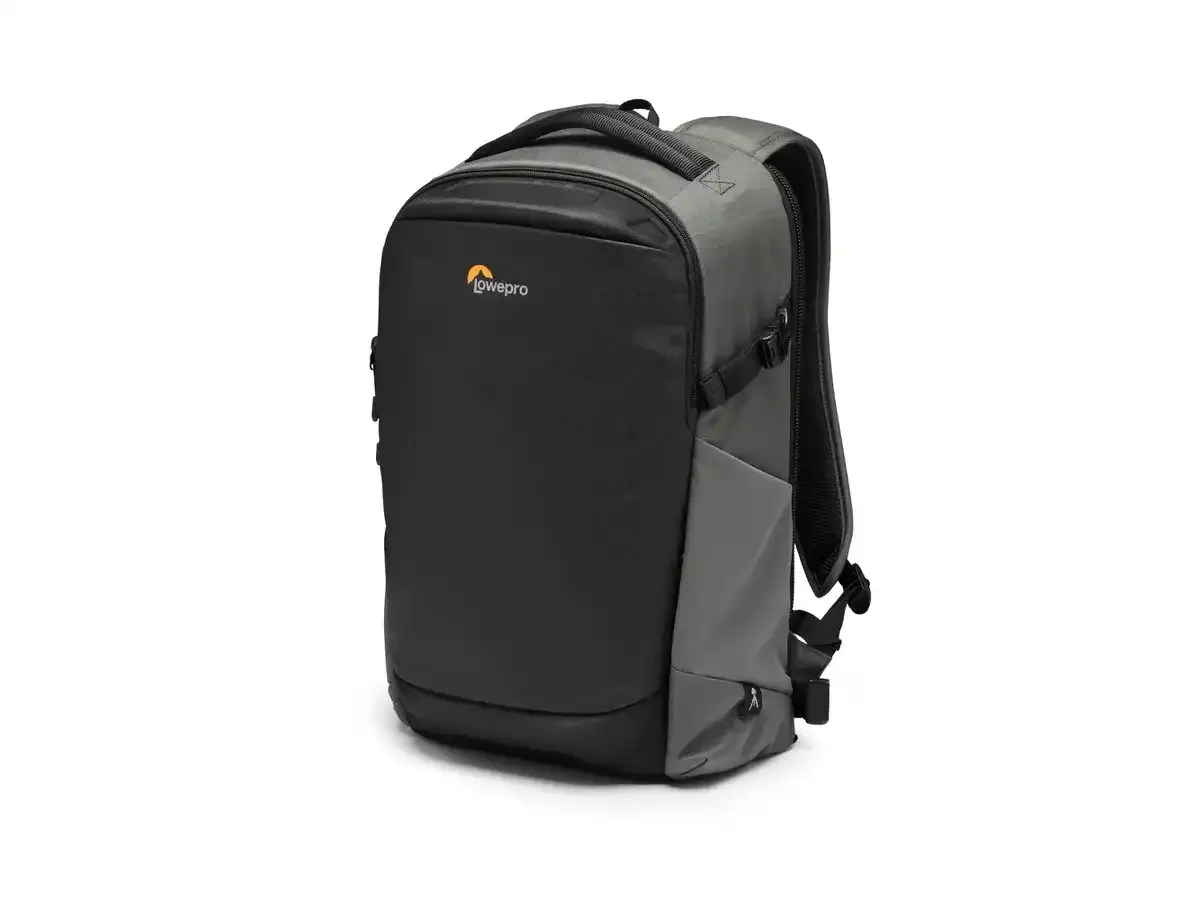 Lowepro Flipside BP 300 AW III (gris / noir)
