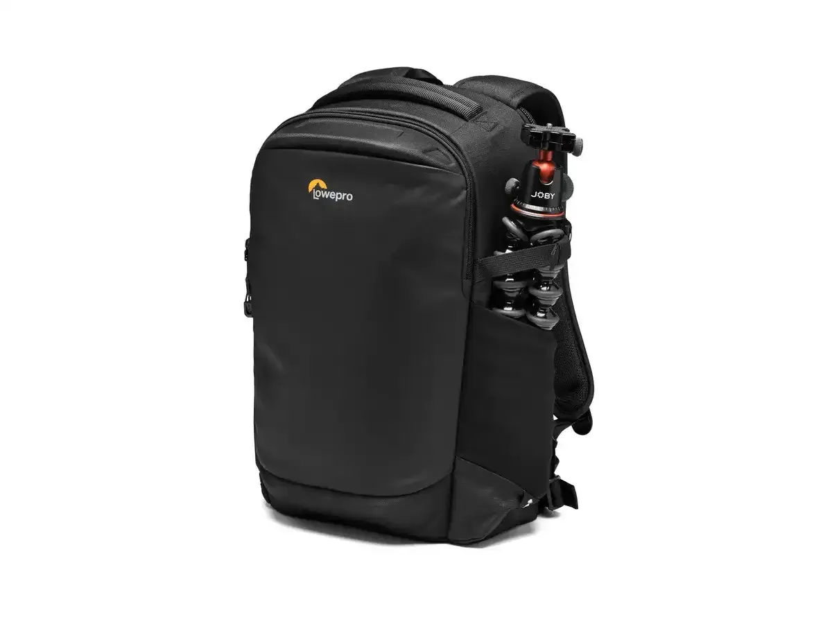 Lowepro Flipside BP 300 AW III (noir)