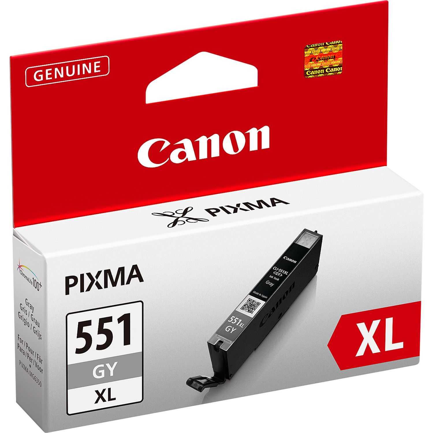 Cartouche Canon CLI-551GY Grey XL