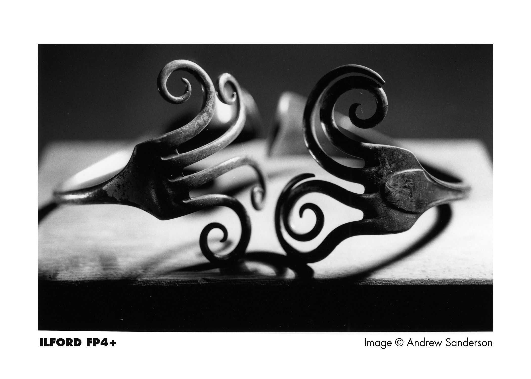 Ilford FP4 Plus 125 120