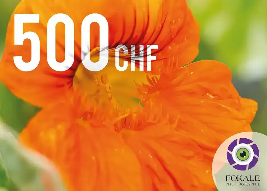 Bon cadeau d'une valeur de 500 Frs