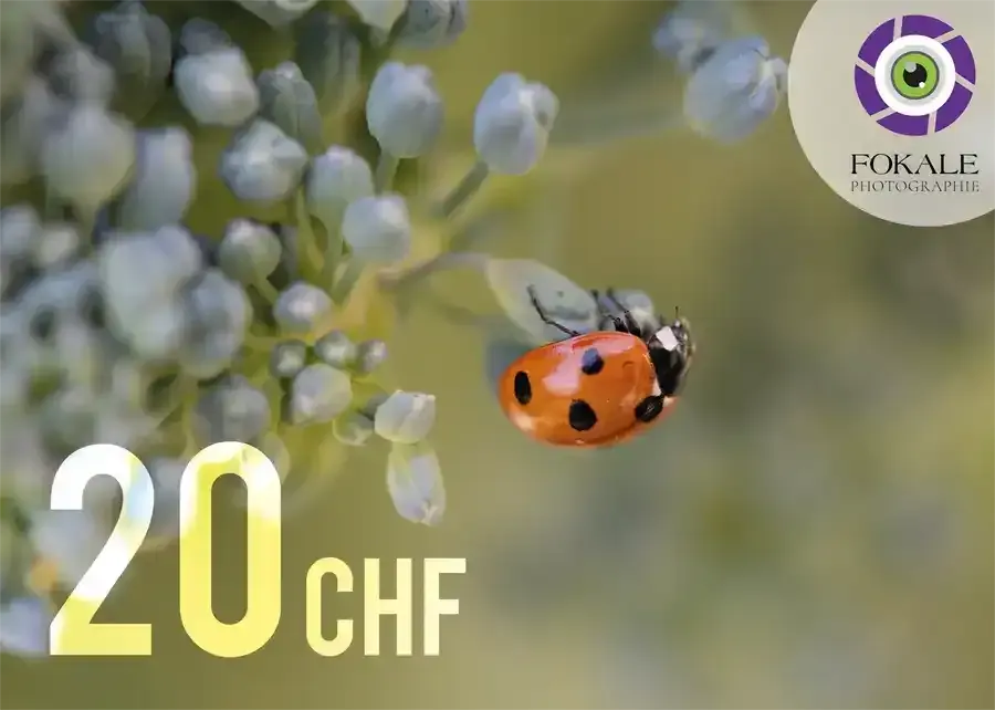 Bon cadeau d'une valeur de 20 Frs