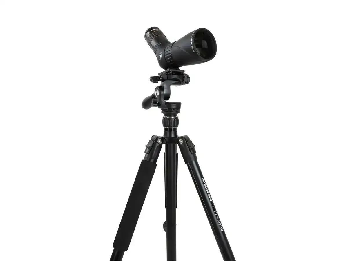 CELESTRON Hummingbird