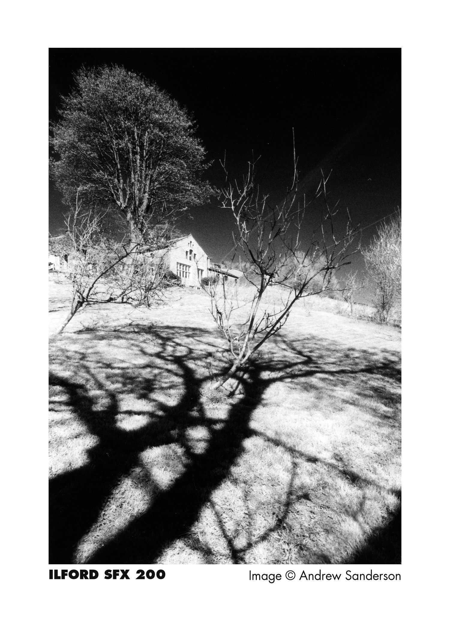 Ilford SFX 200 135-36