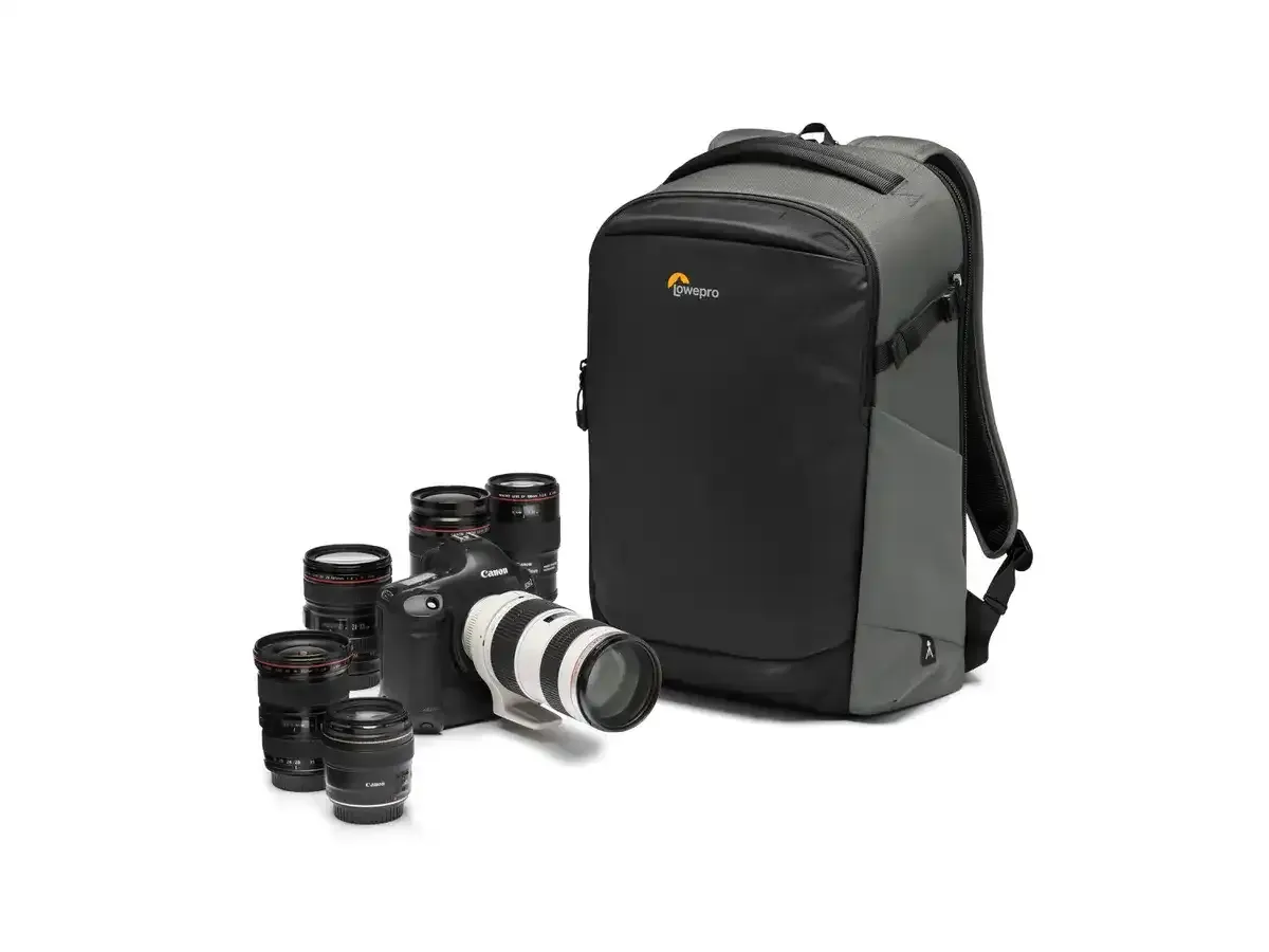 Lowepro Flipside BP 400 AW III (gris + noir)