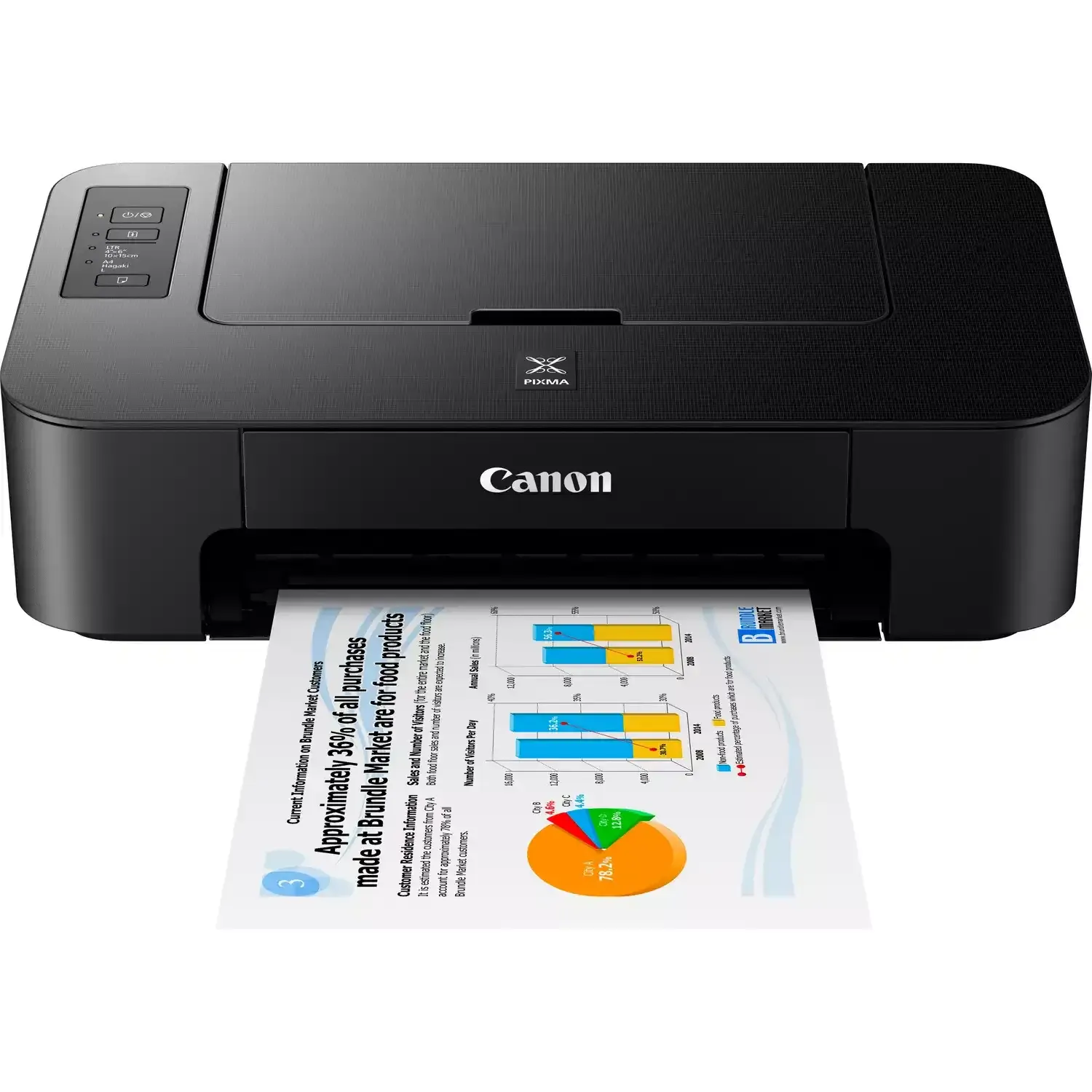 Imprimante Canon PIXMA TS205