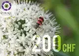 Bon cadeau d'une valeur de 200 Frs