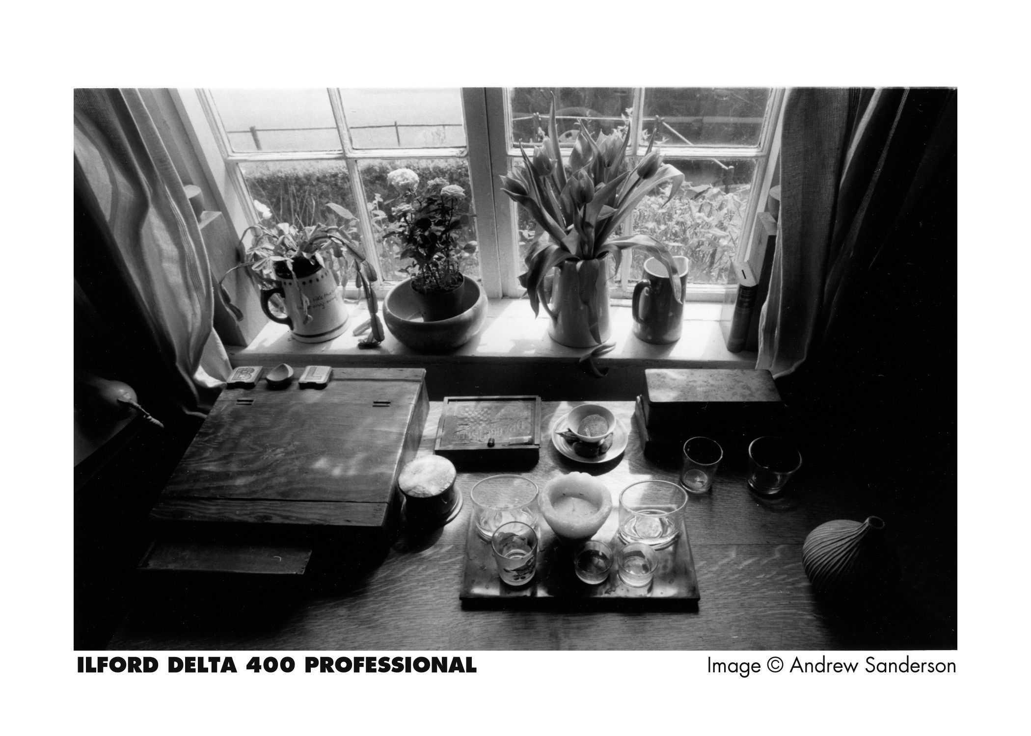 Ilford Delta 400 Professionnel 135-24