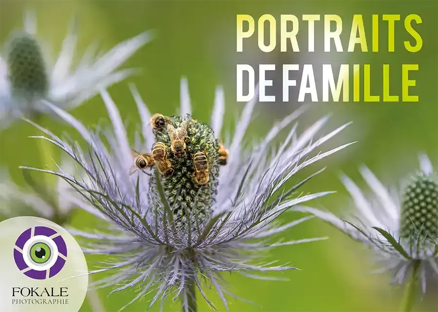 Bon cadeau d'une valeur de 500 Frs