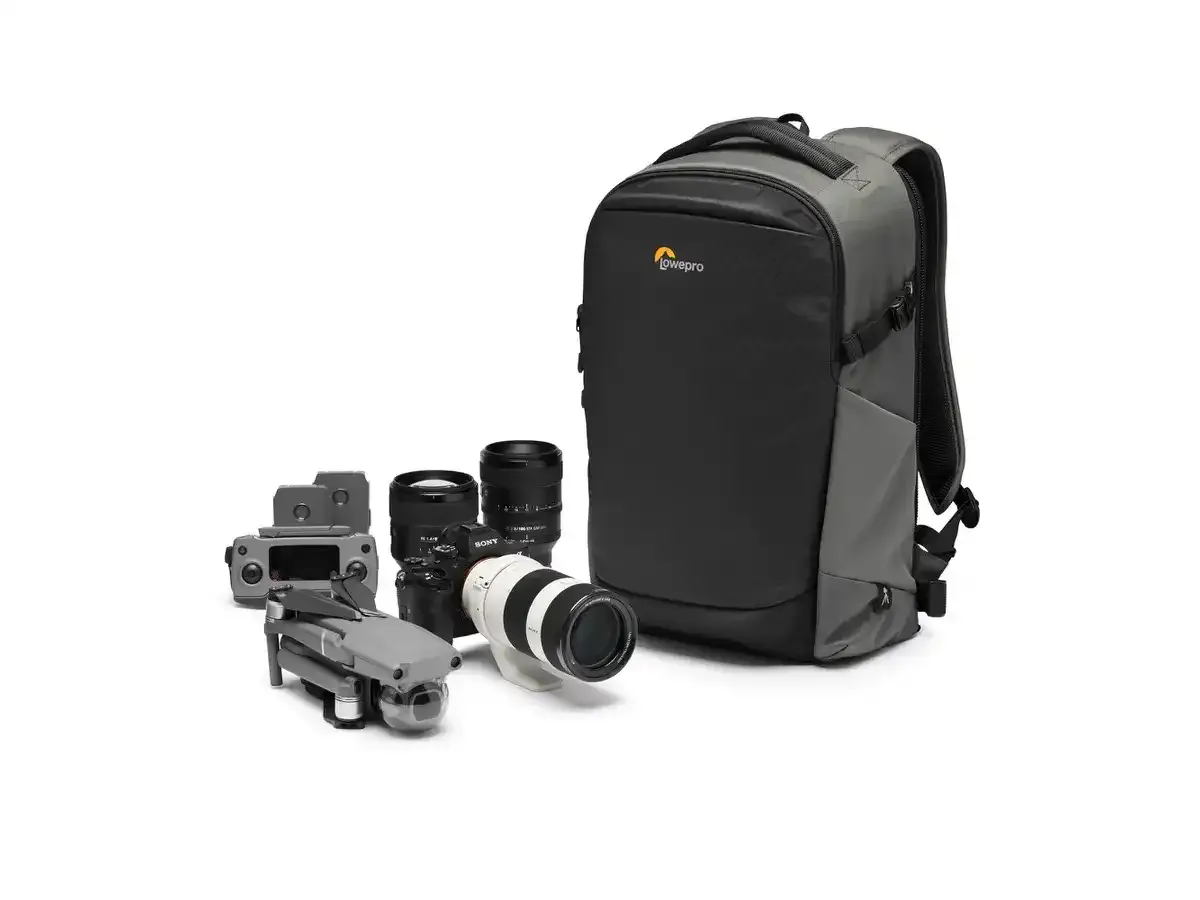 Lowepro Flipside BP 300 AW III (gris / noir)
