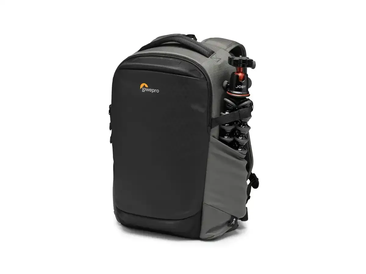 Lowepro Flipside BP 300 AW III (gris / noir)