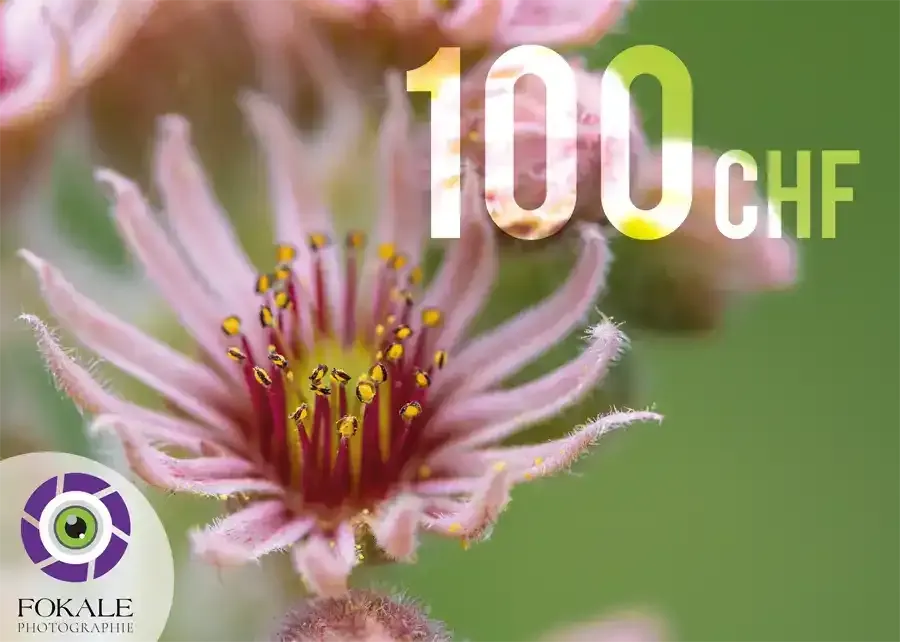 Bon cadeau d'une valeur de 100 Frs