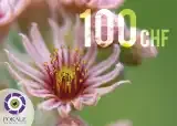 Bon cadeau d'une valeur de 100 Frs