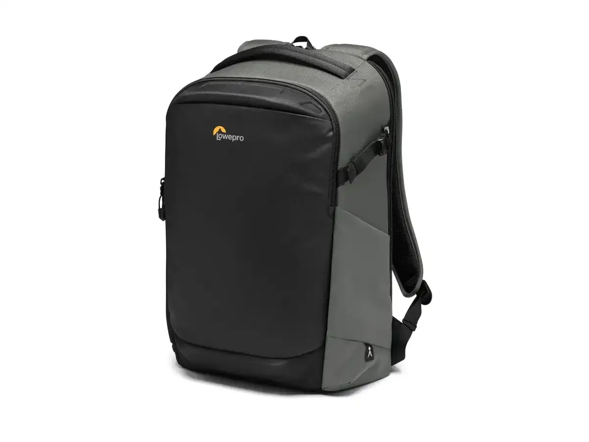 Lowepro Flipside BP 400 AW III (gris + noir)