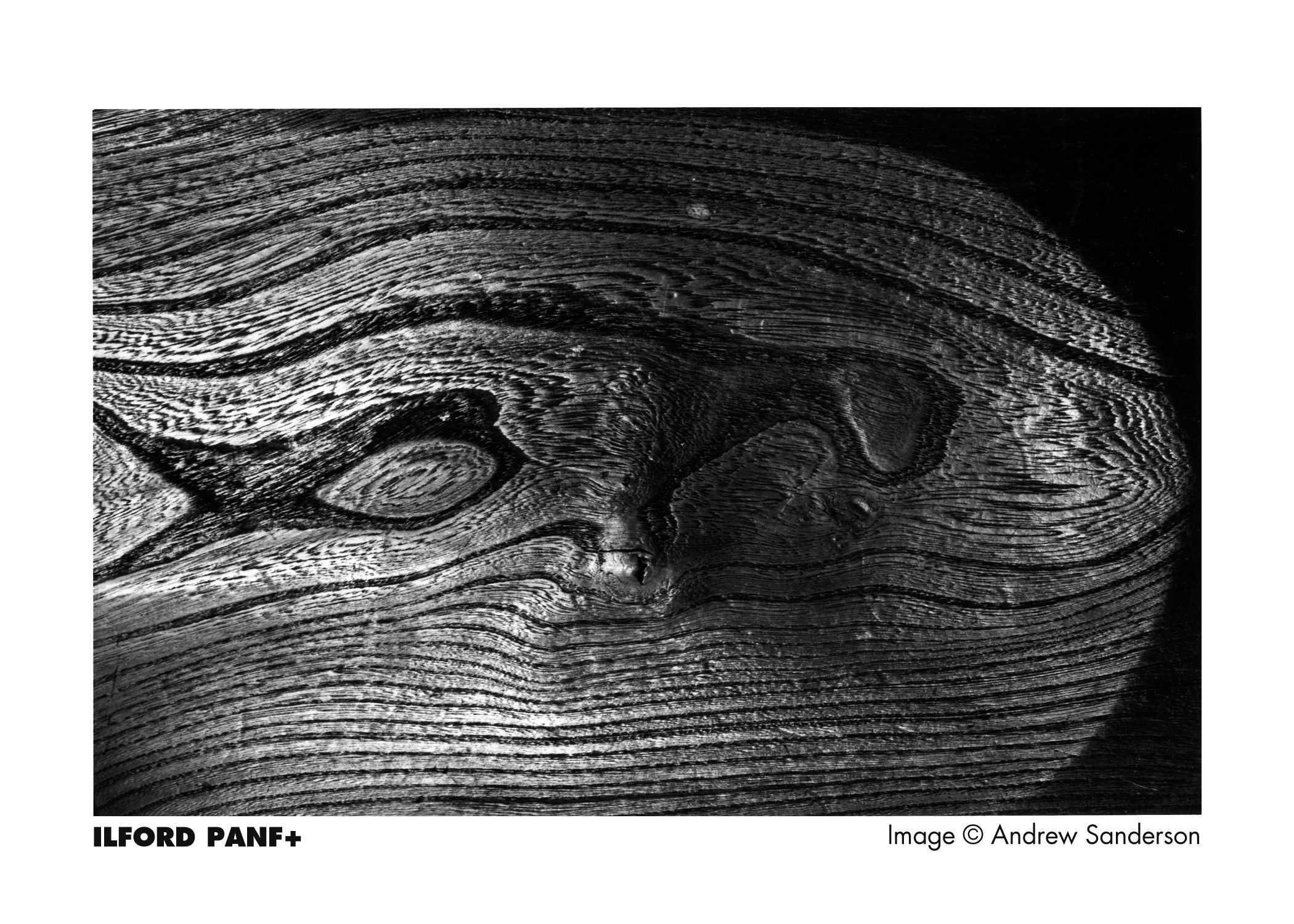 Ilford Pan F 50 135/36